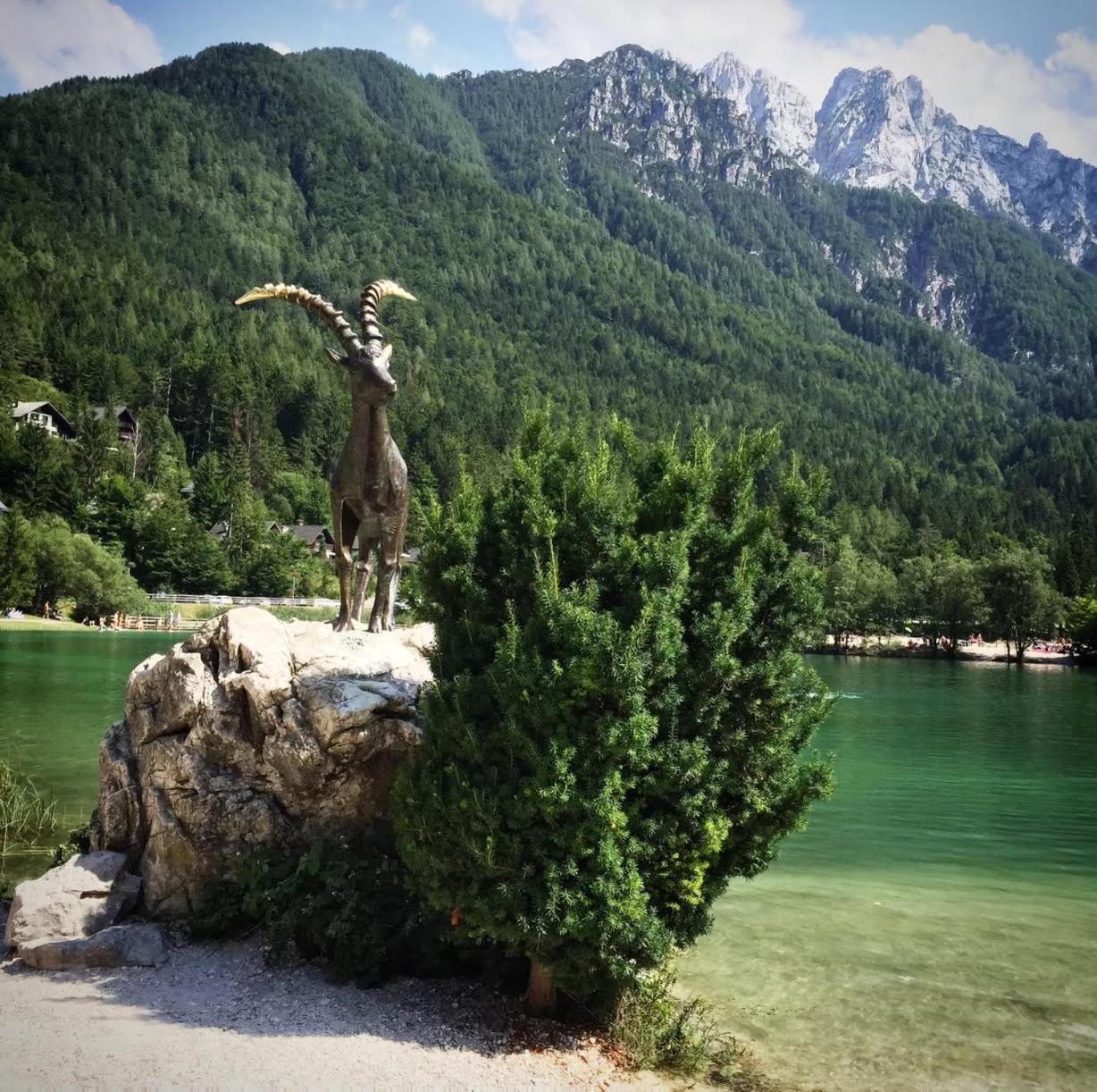 Ski Hut Smucka Kranjska Gora Zewnętrze zdjęcie